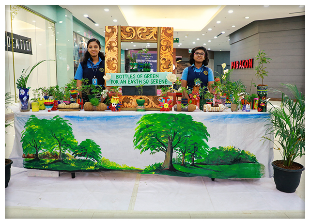 flower-fest-school-displays03